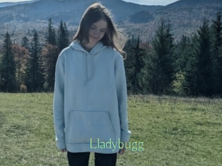 Lladybugg