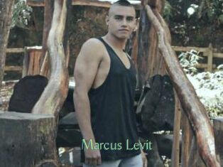 Marcus_Levit