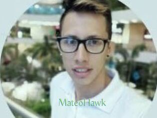 MateoHawk