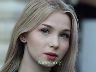 Merylarnet