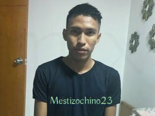 Mestizochino23