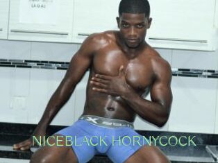 NICEBLACK_HORNYCOCK