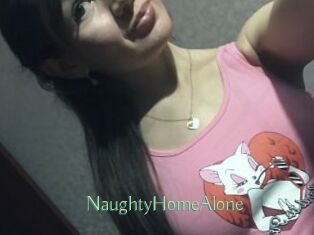 NaughtyHomeAlone