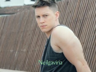 Neilgaviria