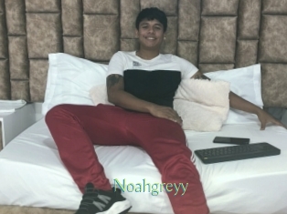 Noahgreyy
