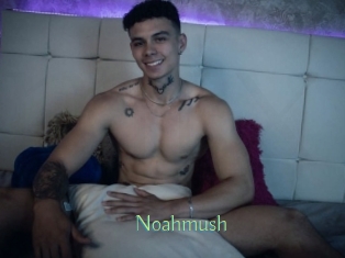 Noahmush