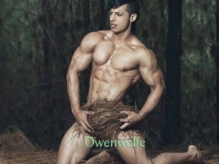 Owenwolfe