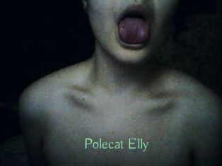 Polecat_Elly