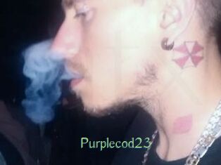 Purplecod23