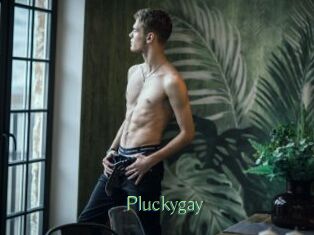 pluckygay Motion X