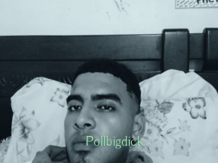 Pollbigdick