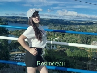 Rosimoreau