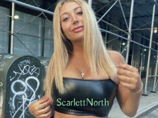 ScarlettNorth Motion X
