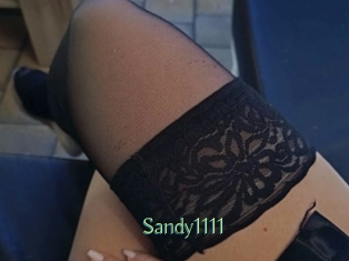 Sandy1111