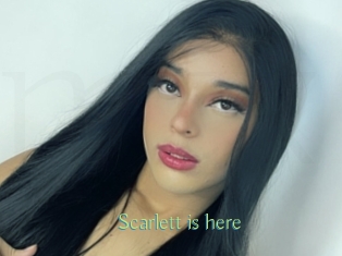 Scarlett_is_here