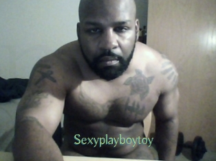 Sexyplayboytoy