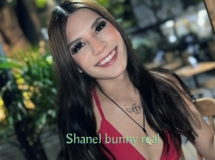 Shanel_bunny_real