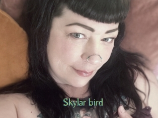 Skylar_bird