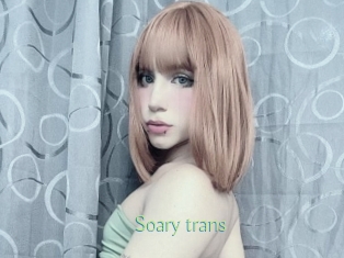 Soary_trans