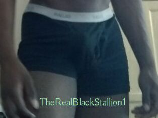 TheRealBlackStallion1