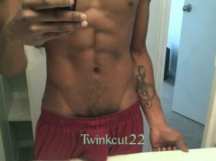 Twinkcut22