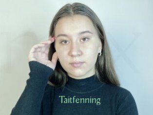 Taitfenning