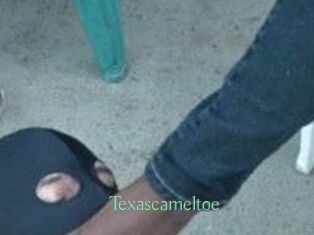 Texascameltoe