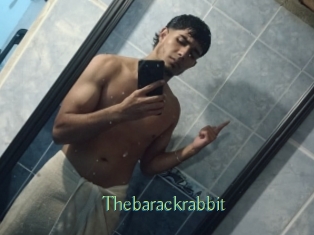 Thebarackrabbit