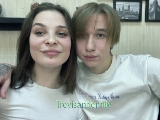 Trevisandemily