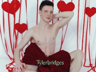 Tylerbridges