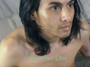 Uncut_Perv_Elliot