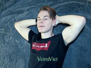 VeinsViet