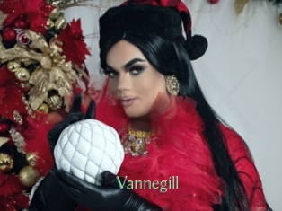 Vannegill