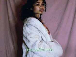 Venus2bunnie