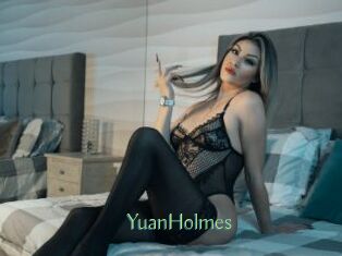 YuanHolmes