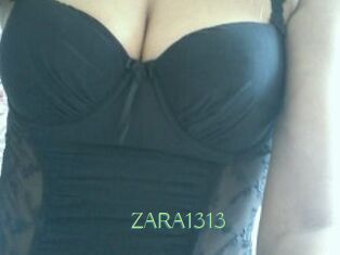 ZARA1313