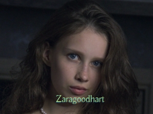 Zaragoodhart